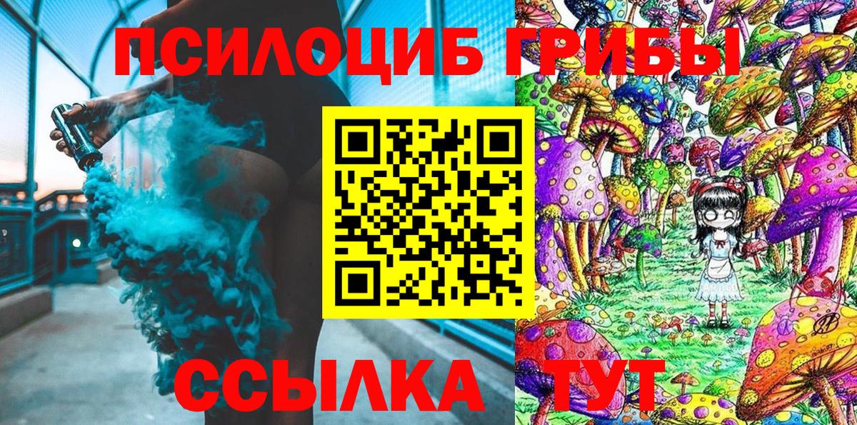 Псилоцибиновые грибы Psilocybe Туймазы