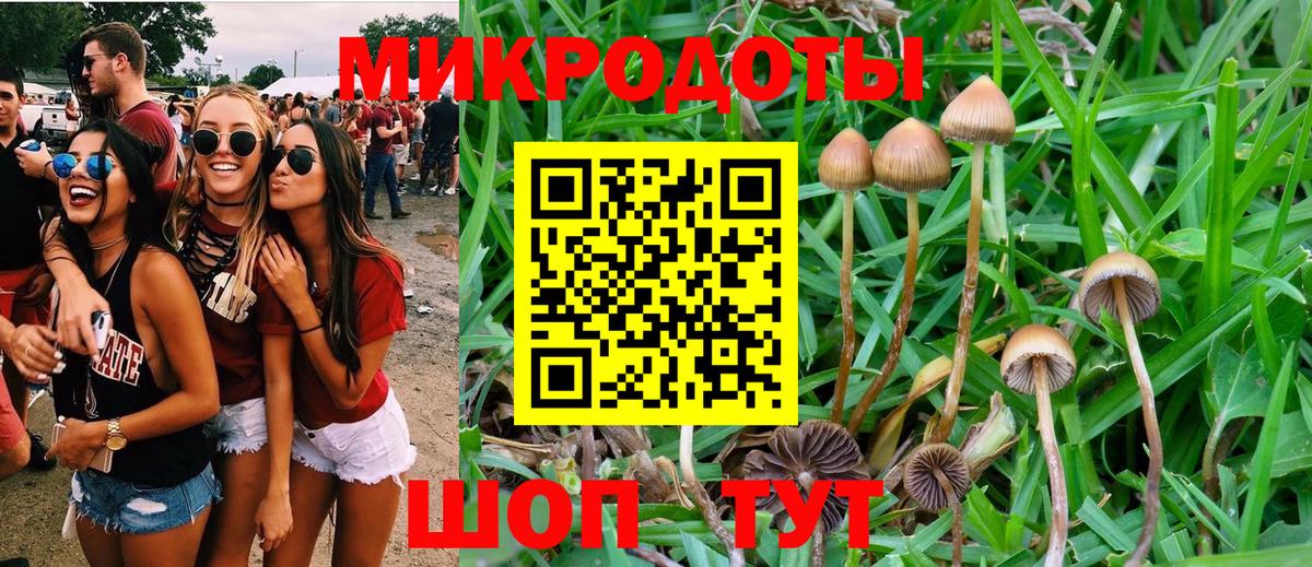 Туймазы  Галлюциногенные грибы мухоморы  сколько стоит  Вход с VPN 